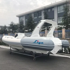 25 voet rib opblaasbare boten met buitenboordmotor