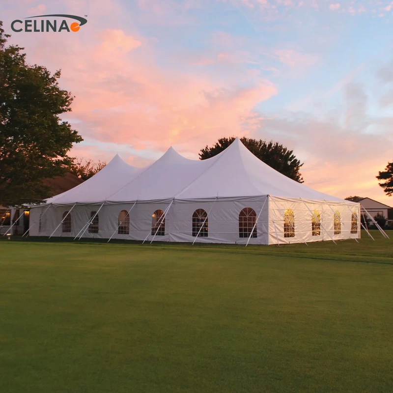 Toldos Impermeables para 300 Personas para Eventos, Carpas de Fiesta de Boda de Pico Alto con Paredes Laterales
