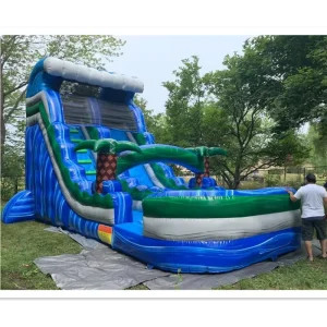 Cầu trượt nước inflatable ngoài trời cho người lớn với bể bơi, Lâu đài inflatable cấp thương mại