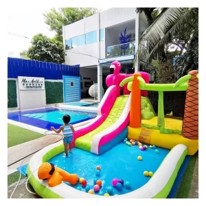 Amusement Inflatable Bouncer with Water Slide and Pool for Children Playground