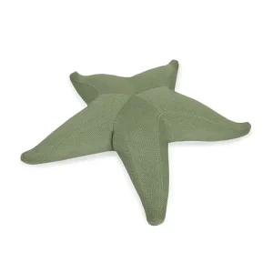Animal Swimming Pool Floating Pad Starfish Bean Bag Chairs for Adults