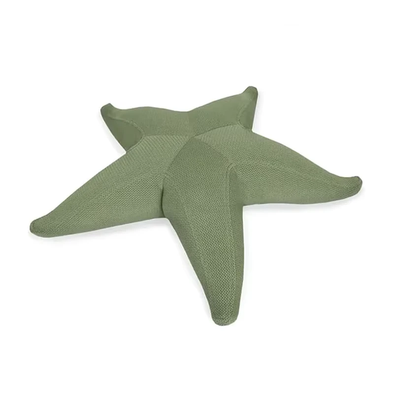 Đệm Nổi Bể Bơi Hình Sao Biển Ghế Bean Bag Cho Người Lớn
