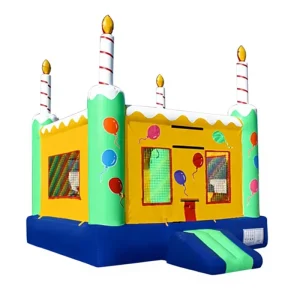Birthday Theme Inflatable Jumping House Bouncer Combo Slide Blow up Bounce Houses Playground for Kids Adults with Blower