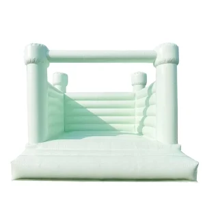 Bounce House Inflatable Wedding Bouncer Party Hire Bouncy Castle