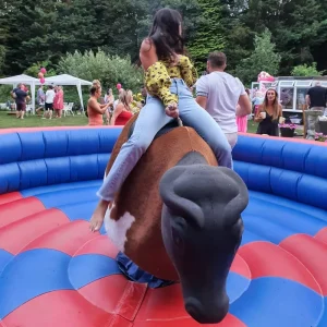 Carnival Amusement Rides Commercial Kids Adults Inflatable Mechanical Rodeo Bull Outdoor Interactive Games