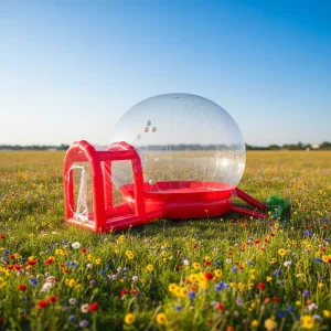 Fornitori Cinesi Castello Gonfiabile per Bambini su Misura con Stampa del Logo, Scivolo Gonfiabile e Casa Gonfiabile