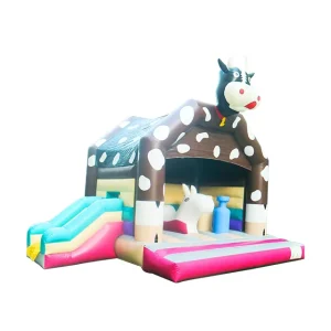 Commercial Bouncer Slide Combo Inflatable Inflatable Structure Combo CE ISO Commercial Grade Combo Inflatable