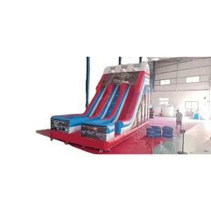 Commercial Double Lane PVC Inflatable Water Slide with Theme for Indoor Outdoor & Home Use Easy Setup