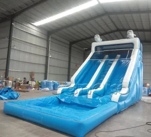 Commercial Double lane Inflatable Dry Slide Big Dry Slide for Kids Inflatable Wet Dry Slide With Detachable Pool