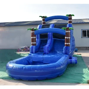 Commercial Giant Inflatable Water Slide with Double Lanes Sea Theme Long Water Slides Inflatable Water Slide for Kids Adult