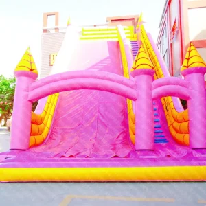 Commercial Grade PVC Inflatable Wet/Dry Slide with Customizable Capacity for Kids for Indoor/Outdoor Use