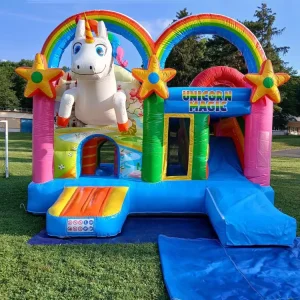 Commercial Grade PVC Unicorn Inflatable Slide Bounce House Bouncy Castles Blowers