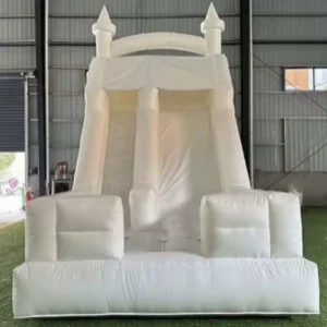 Commercial Inflatable Dry Slide Bouncer Backyard Bounce House Large Double Inflatable Slides
