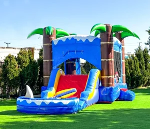 Commercial New Design Inflatable Castle with Slide Inflatable Kid Slide Inflatable Water Slide Bounce House Combo
