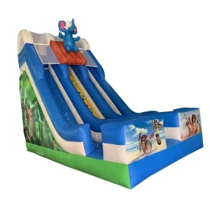 Commercial Outdoor Double Lane Slide Bouncer Jumper Bounce House Inflatable Bouncy Castle Jumping Castle Combo for Kids