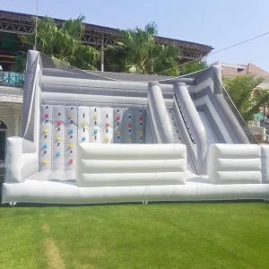Commercial PVC Inflatable Rock Climbing Wall and Slide Outdoor Inflatable Carnival Games Sports Games for Children&Adults Events