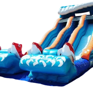 Commercial PVC Inflatable Wet Dry Slides for Home Residential or Mall Use Outdoor Party Rental Waterslides on Sale