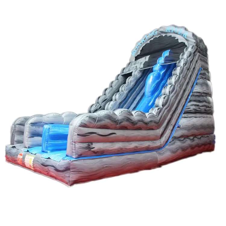 Commercial PVC Outdoor Inflatable Wet Dry Slide Inflatable Obstacle Course Inflatable Dry Slide
