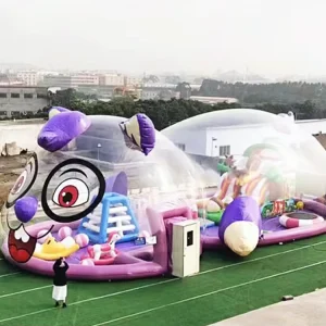 Commercial Transparent PVC Inflatable Bouncer Kids Cat Inland Crystal Palace Bubble Tent Indoor Playground Ocean Balls Soft Park