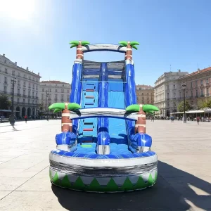 Commercial Water Slide Jumping Castle with Slide and Pool Outdoor Custom Amusement Park Water Slides