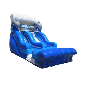 Commercial Whale Themed Inflatable Water Slide for Kds and Adults Outdoor Sport Play Backyard Use
