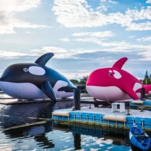 Custom Giant Inflatable Killer Whale Orca Whale Ocean Animal Model for Event