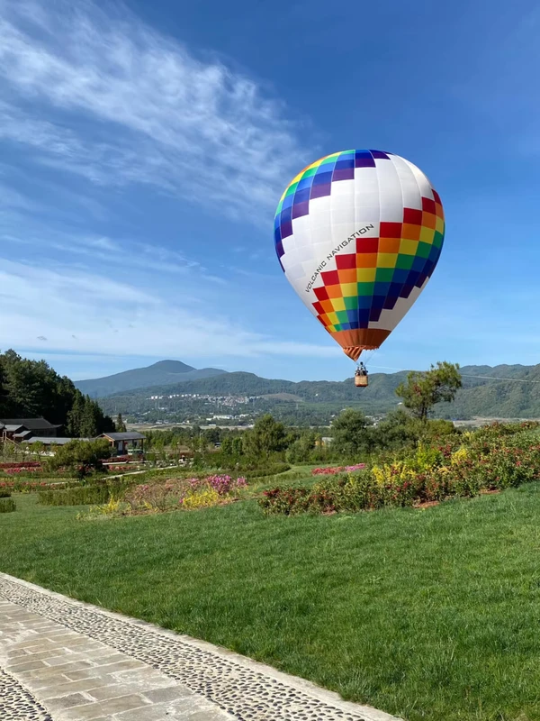 Custom Special Shape Pattern Standard Size Weather Resistant Customized Color Outdoor Inflatable Hot Air Balloon