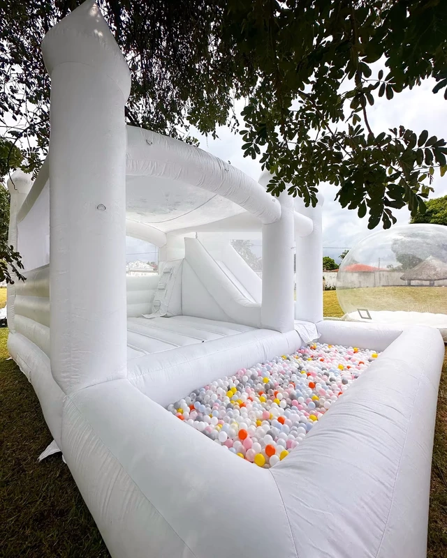 Nhà bouncy cưới bơm hơi tùy chỉnh, lâu đài bouncy cưới