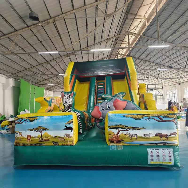 Seluncuran Kering Inflatable Bertema Hewan yang Dapat Disesuaikan, Mudah Dipasang untuk Penggunaan di Rumah oleh Dewasa