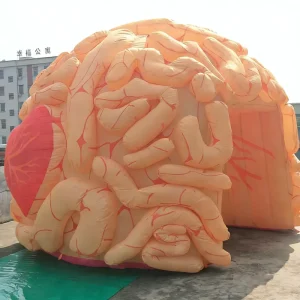 Customizable Durable PVC Inflatable Brain Model Balloon Built In Fan Zipper Closure Custom Logo Waterproof for Party Grand