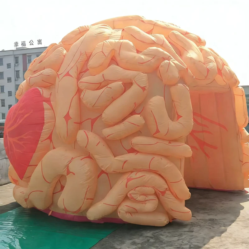 Modelo de Cerebro Inflable de PVC Personalizable Duradero Globo con Ventilador Incorporado Cierre de Cremallera Logo Personalizado Impermeable para Fiesta Grande