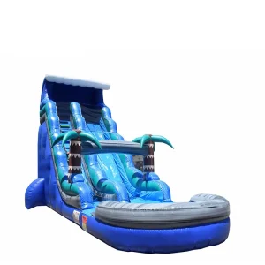 Customizable Inflatable Water Slide with Pool for Party Event Rentals
