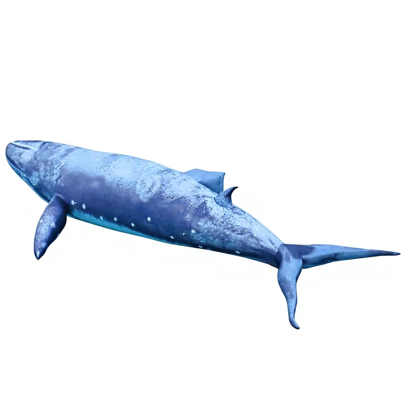 Modèle de baleine gonflable géante personnalisé à des fins décoratives