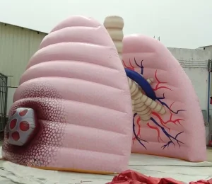 Customized Giant PVC Inflatable Lungs with Lung Tube Model Teaching Display