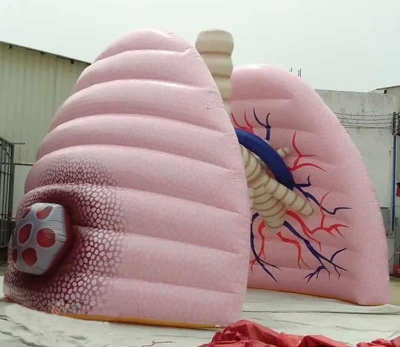 맞춤형 거대 PVC 인플레이터블 폐 모델 교육용 전시