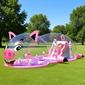 Customized PVC Family Outdoor Balloon House Inflatable Bubble Transparent Tents Camping Inflatable Clear Bubble Tent