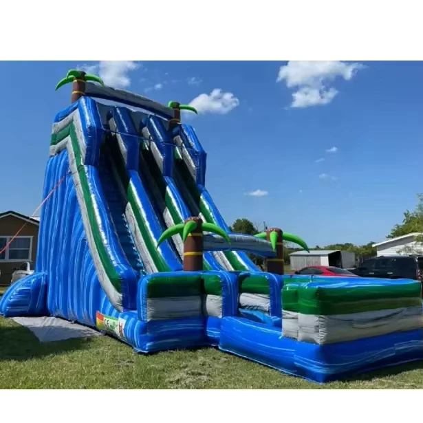 Scivoli d'Acqua Gonfiabili Commerciali a Doppia Corsia in PVC con Colore Personalizzabile e Logo, Piscina di Dimensioni Personalizzate in Vendita