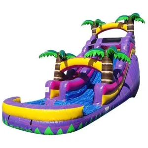 Dual Lane Commercial Outdoor Inflatable Bounce House Water Slide Combo with Pool for Kids High Capacity for Large Groups