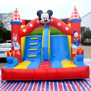 Eco Friendly Bouncy Castle Combo Inflatable Bounce House with 480kg Capacity and 3.5x5x4m Size for Commercial Use Kids