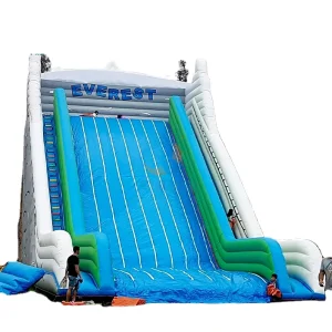 Factory PVC Giant Adult Inflatable Dry Slide Themed Amusement Park Largest Outdoor Inflatable Slide For Sale