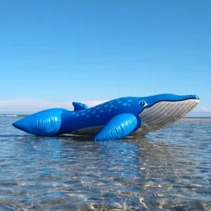 Giant Blue Whale Inflatable Pool Floats Customized Animal Floats Floating Ride On