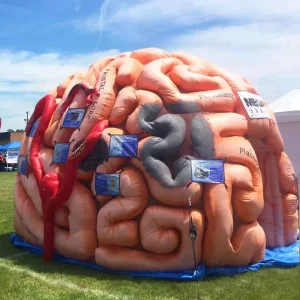 Giant Inflatable Human Brain Model for Interactive Educational Exhibit