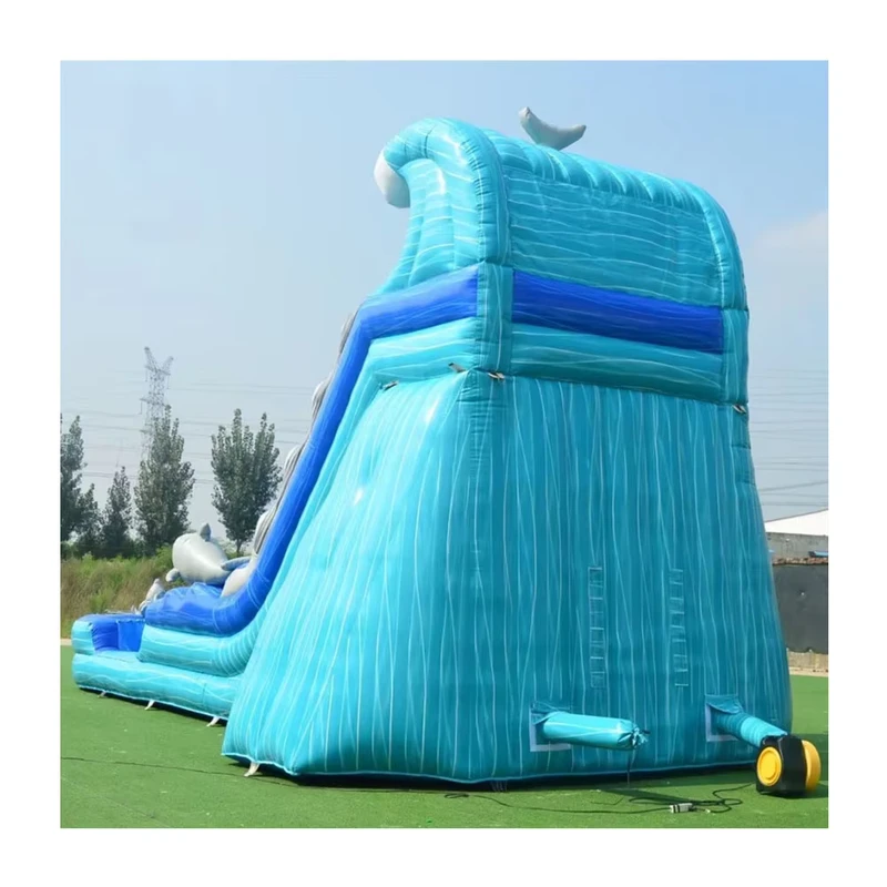 Giant Inflatable Water Dry Slide Pool