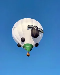 Hot Air Balloon Inflatable Advertising Ball Oxford Material LED Lamp with Blower for Parties Helium Balloon Model for Sale