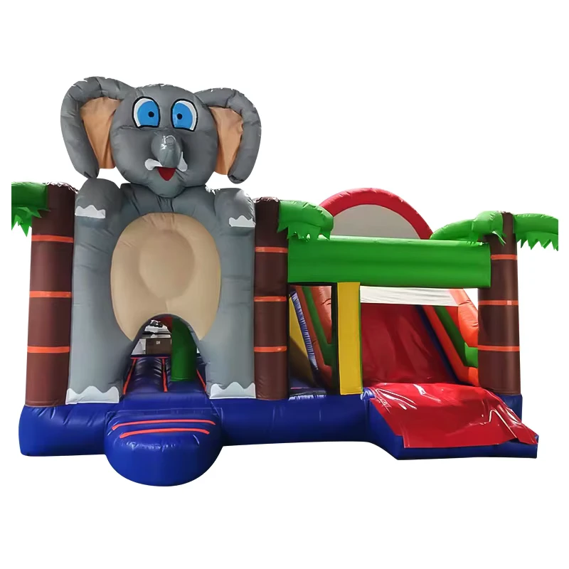 Inflatable Bounce House Castle Combo with Slides PVC Material Easy Setup Commercial Water Play Equipment