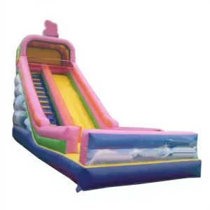 Inflatable Dry Slide