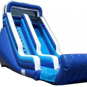 Inflatable Dry Slides Inflatable Outdoor Slides on Sale