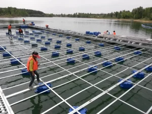 Aufblasbares HDPE Modulares Schwimmendes Kolben Ponton Dock Brücke Gehplattform System 350 kg/m² Tragfähigkeit Langlebig