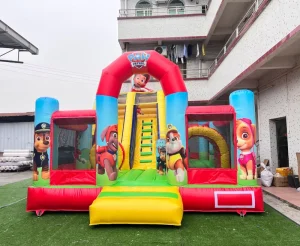 Inflated Slide Topogan Gonflabil Inflatable Dry Slides Party Play House