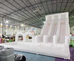 Inflatable Slide Playground Equipment PVC Inflatable Water Slide Giant Inflatable Water Slide for Adults